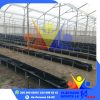 Plásticos para invernadero